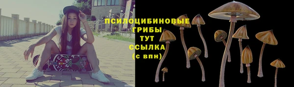 мяу мяу мука Ельня