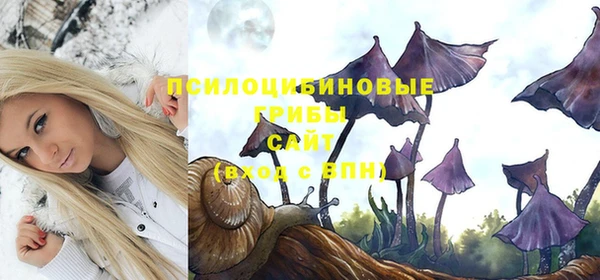 мяу мяу мука Ельня