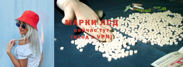 мяу мяу мука Ельня