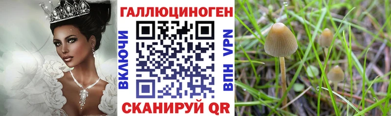 Псилоцибиновые грибы Psilocybine cubensis  купить наркоту  Малаховка 